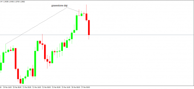 101 forex brokers